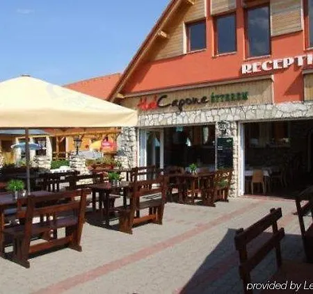 Wellness Park Pension 
